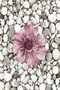 Conceptum Alfombra con Impresión Digital 3D de 60 x 100 cm